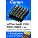 Картриджи для Canon PIXMA iX6840 и др. Комплект из 5 шт., CS0